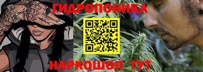 Альфа ПВП Пыть-Ях