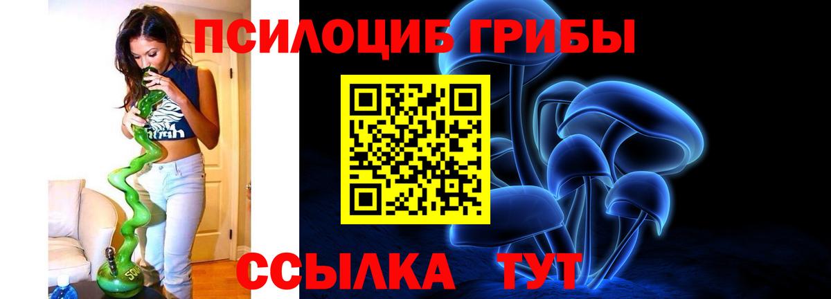 Галлюциногенные грибы прущие грибы  Вход с VPN  Сухой Лог 